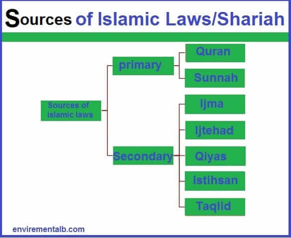 I. the sources of islamic law