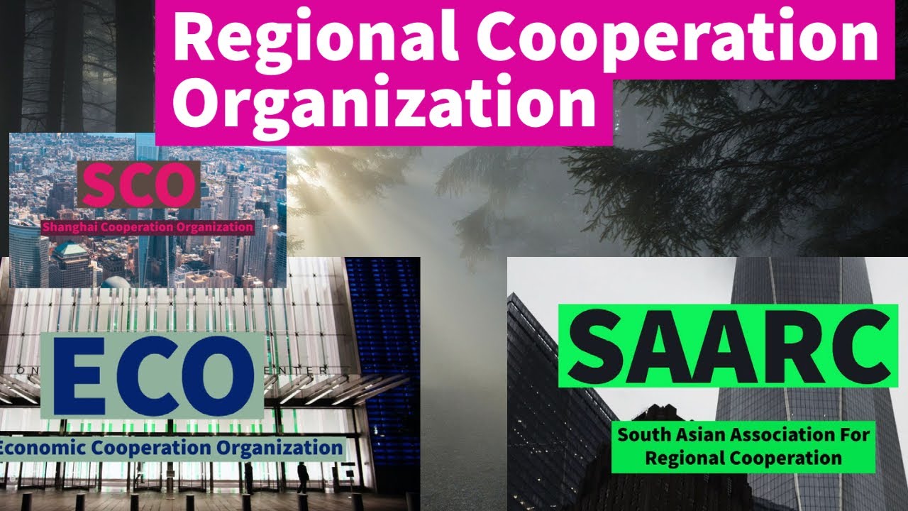 V. regional cooperation organizations (saarc,eco,sco) and the role of pakistan